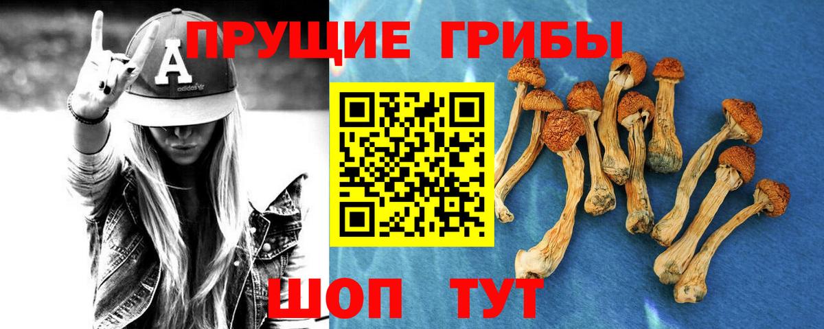 Железноводск  Псилоцибиновые грибы ЛСД  Псилоцибиновые грибы мицелий  Вход с VPN 
